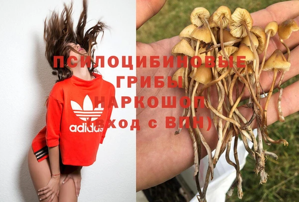 мескалин Алексеевка
