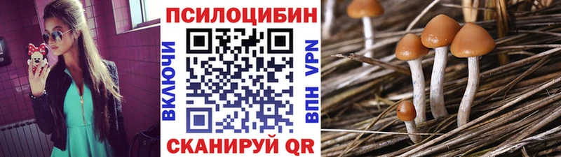 купить Апрелевка Псилоцибиновые грибы Cubensis